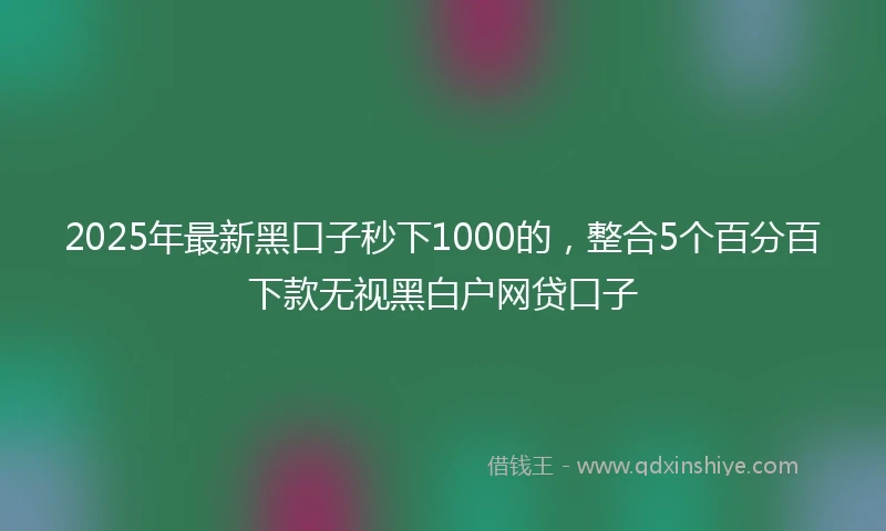 2025年最新黑口子秒下1000的，整合5个百分百下款无视黑白户网贷口子