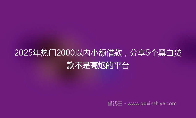 2025年热门2000以内小额借款，分享5个黑白贷款不是高炮的平台
