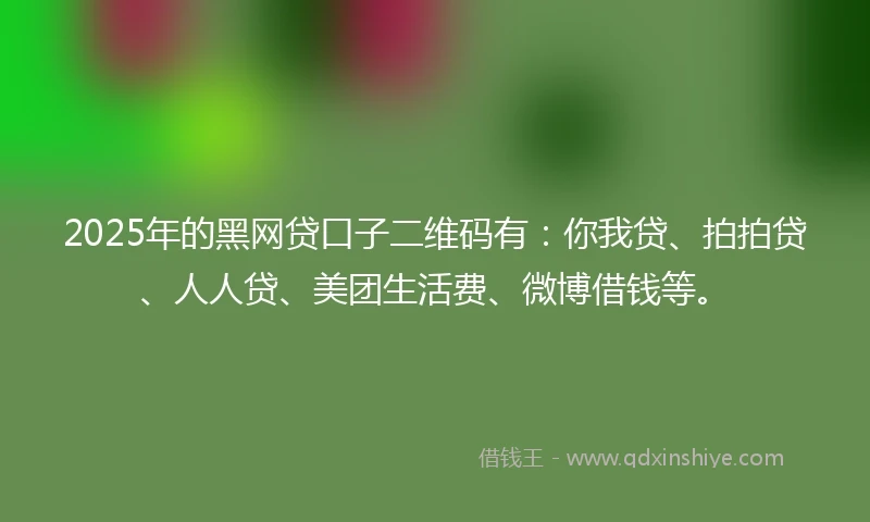 2025年的黑网贷口子二维码有：你我贷、拍拍贷、人人贷、美团生活费、微博借钱等。