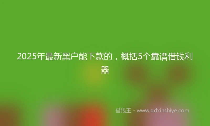 2025年最新黑户能下款的，概括5个靠谱借钱利器