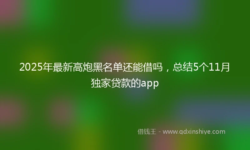 2025年最新高炮黑名单还能借吗,总结5个11月独家贷款的app