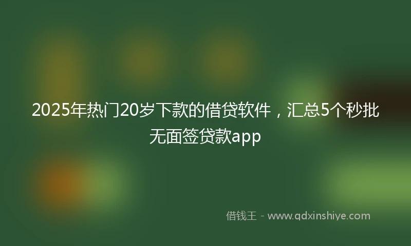 2025年热门20岁下款的借贷软件，汇总5个秒批无面签贷款app