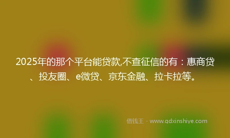 2025年的那个平台能贷款,不查征信的有：惠商贷、投友圈、e微贷、京东金融、拉卡拉等。