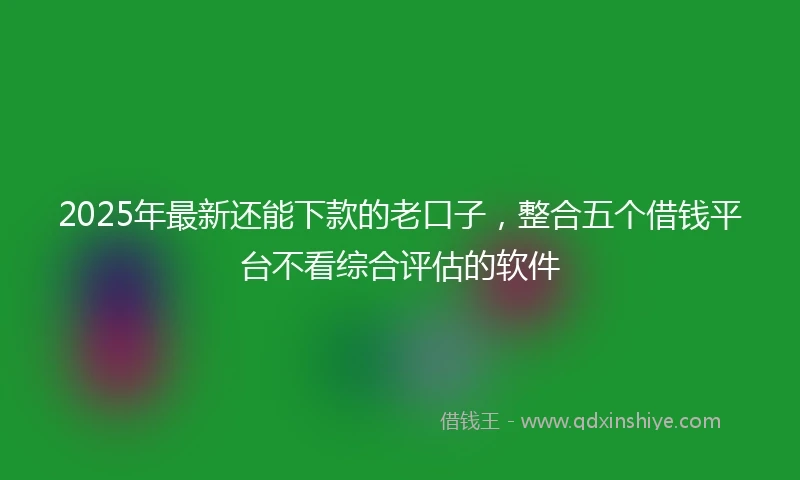 2025年最新还能下款的老口子，整合五个借钱平台不看综合评估的软件