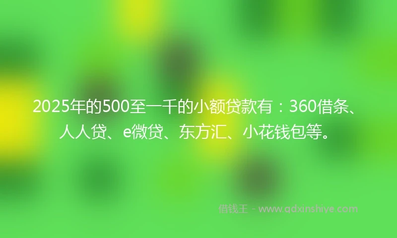 2025年的500至一千的小额贷款有：360借条、人人贷、e微贷、东方汇、小花钱包等。