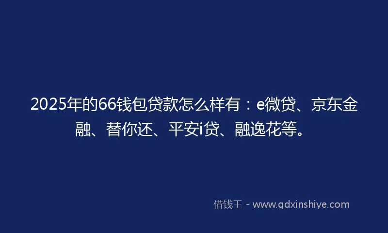 2025年的66钱包贷款怎么样有：e微贷、京东金融、替你还、平安i贷、融逸花等。
