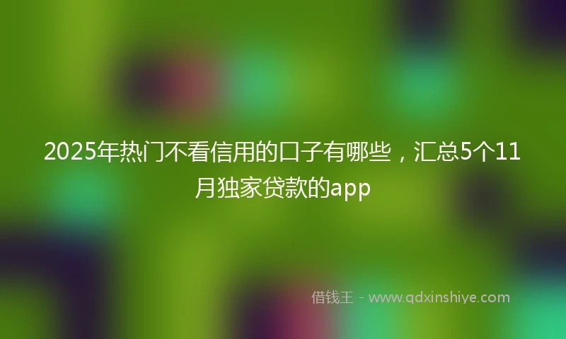2025年热门不看信用的口子有哪些，汇总5个11月独家贷款的app