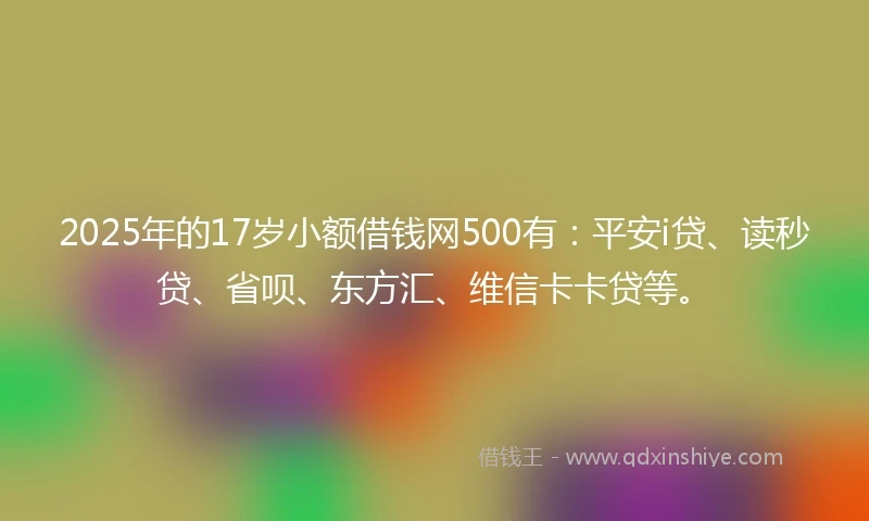 2025年的17岁小额借钱网500有：平安i贷、读秒贷、省呗、东方汇、维信卡卡贷等。
