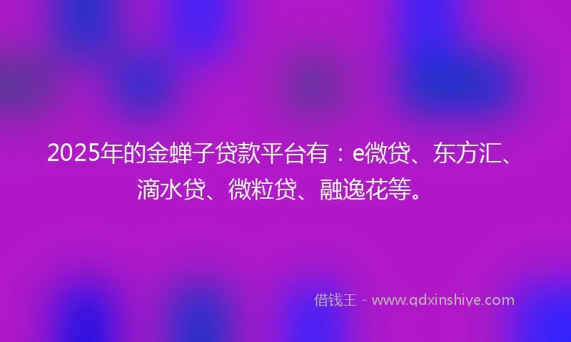 2025年的金蝉子贷款平台有：e微贷、东方汇、滴水贷、微粒贷、融逸花等。