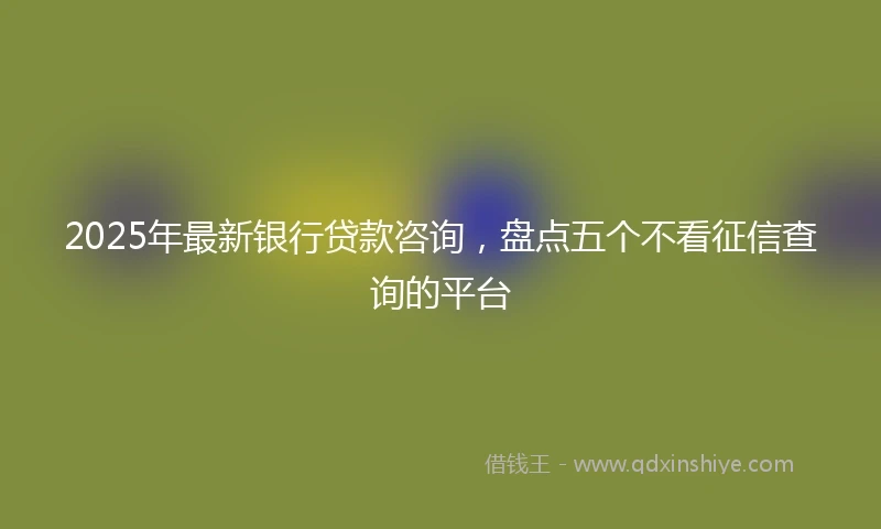 2025年最新银行贷款咨询，盘点五个不看征信查询的平台