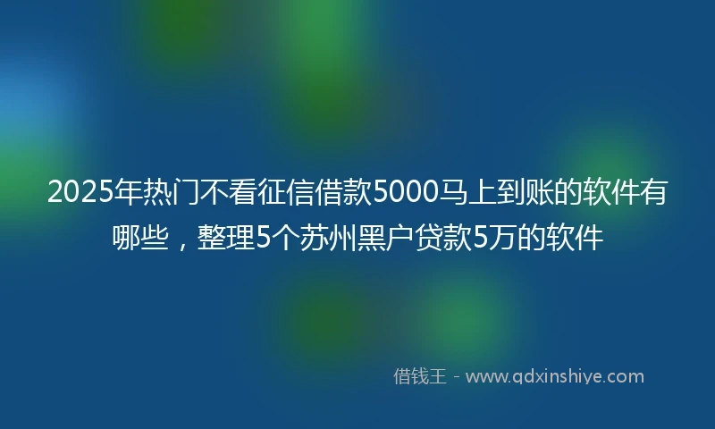 2025年热门不看征信借款5000马上到账的软件有哪些，整理5个苏州黑户贷款5万的软件