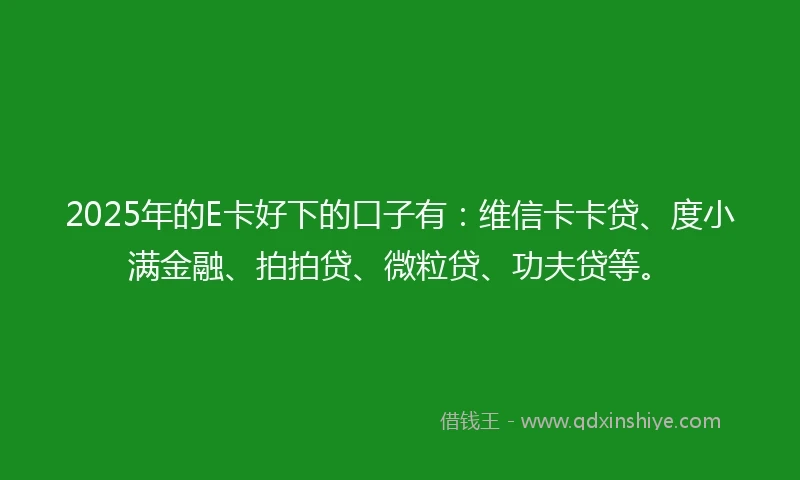 2025年的E卡好下的口子有：维信卡卡贷、度小满金融、拍拍贷、微粒贷、功夫贷等。