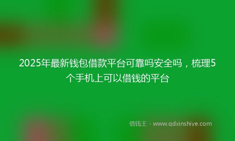 2025年最新钱包借款平台可靠吗安全吗，梳理5个手机上可以借钱的平台