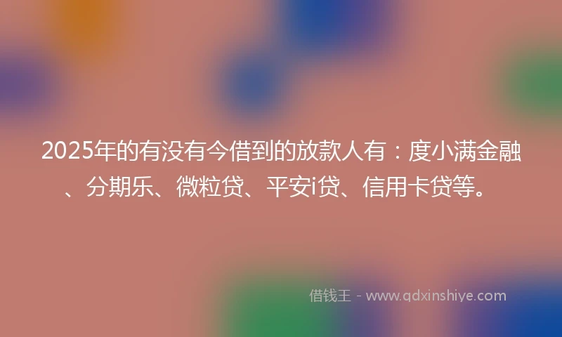 2025年的有没有今借到的放款人有：度小满金融、分期乐、微粒贷、平安i贷、信用卡贷等。