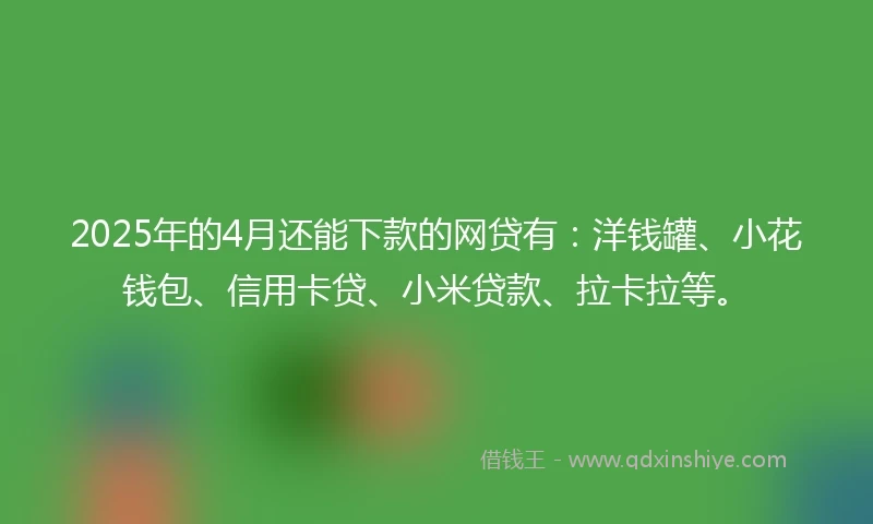 2025年的4月还能下款的网贷有：洋钱罐、小花钱包、信用卡贷、小米贷款、拉卡拉等。