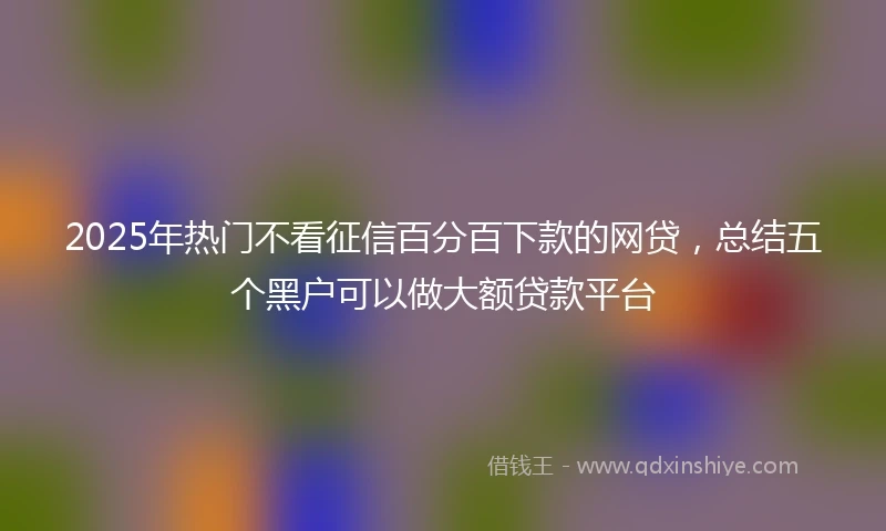 2025年热门不看征信百分百下款的网贷，总结五个黑户可以做大额贷款平台