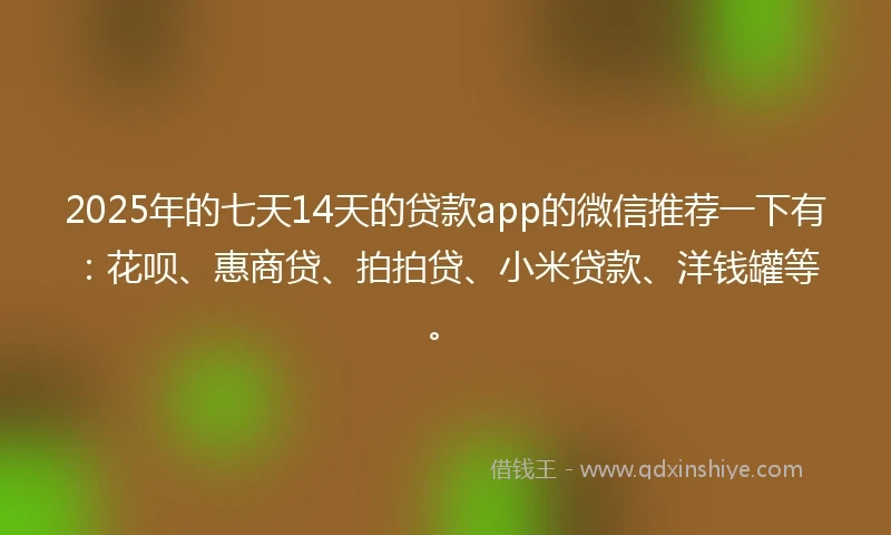2025年的七天14天的贷款app的微信推荐一下有：花呗、惠商贷、拍拍贷、小米贷款、洋钱罐等。