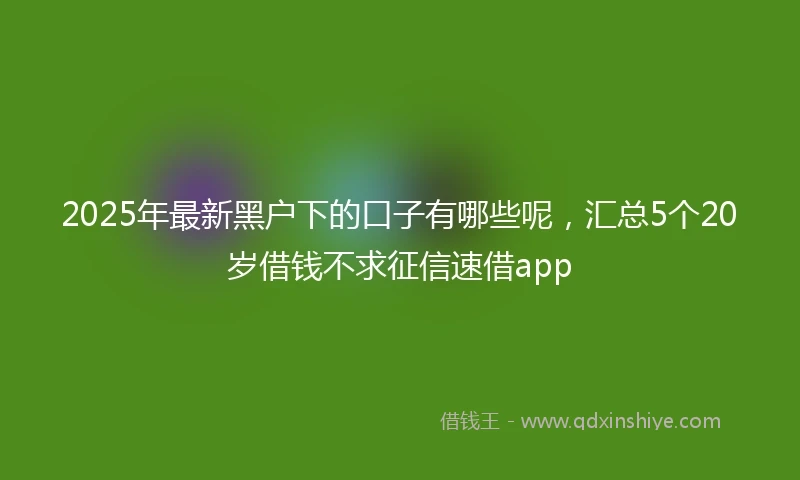 2025年最新黑户下的口子有哪些呢，汇总5个20岁借钱不求征信速借app