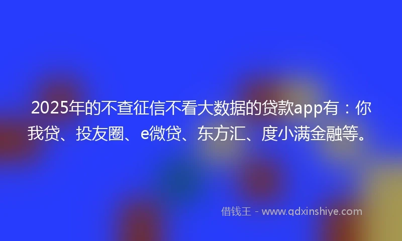 2025年的不查征信不看大数据的贷款app有:你我贷、投友圈、e微贷、东方汇、度小满金融等。