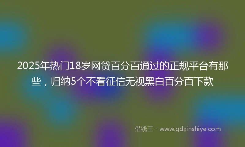 2025年热门18岁网贷百分百通过的正规平台有那些,归纳5个不看征信无视黑白百分百下款