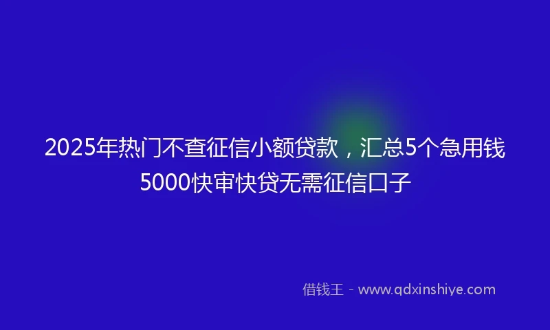 2025年热门不查征信小额贷款,汇总5个急用钱5000快审快贷无需征信口子