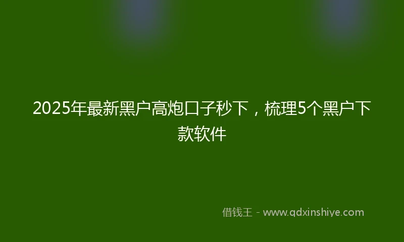 2025年最新黑户高炮口子秒下，梳理5个黑户下款软件