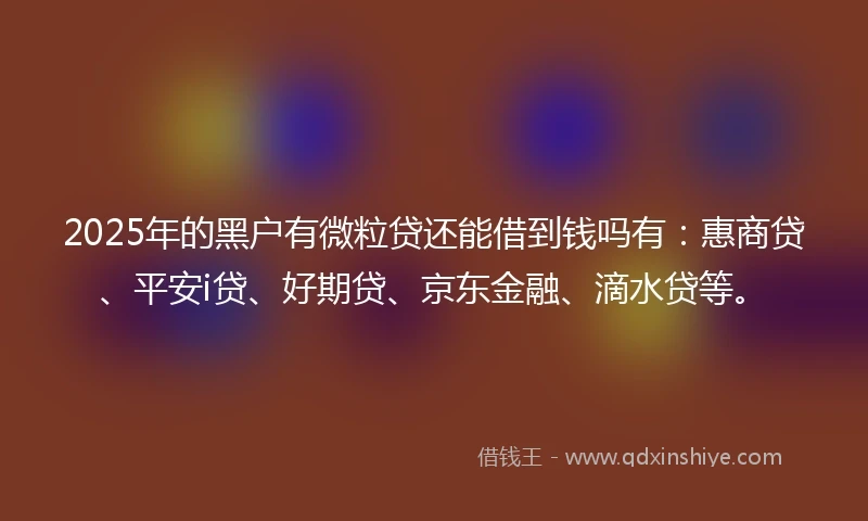 2025年的黑户有微粒贷还能借到钱吗有：惠商贷、平安i贷、好期贷、京东金融、滴水贷等。