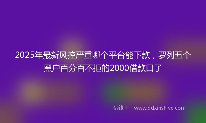 2025年最新风控严重哪个平台能下款，罗列五个黑户百分百不拒的2000借款口子