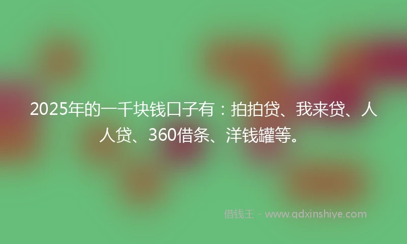 2025年的一千块钱口子有：拍拍贷、我来贷、人人贷、360借条、洋钱罐等。