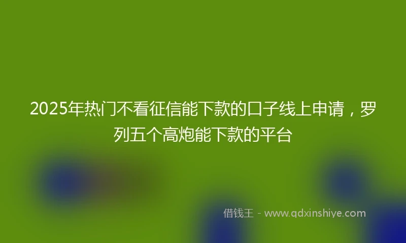 2025年热门不看征信能下款的口子线上申请,罗列五个高炮能下款的平台