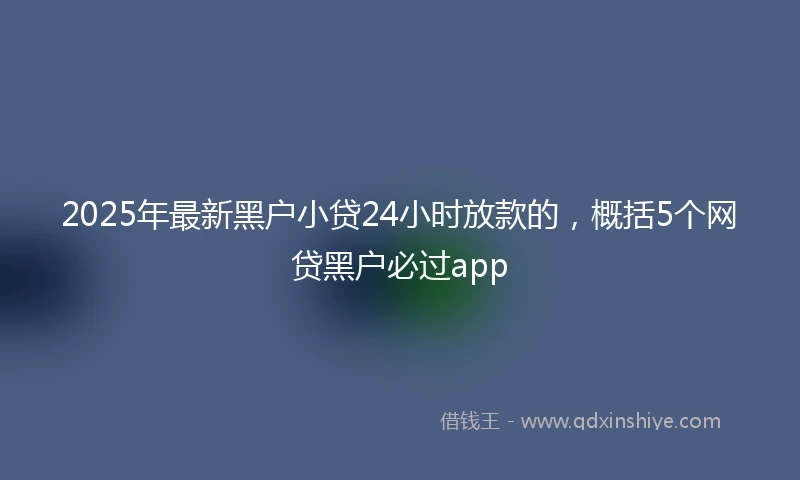 2025年最新黑户小贷24小时放款的,概括5个网贷黑户必过app