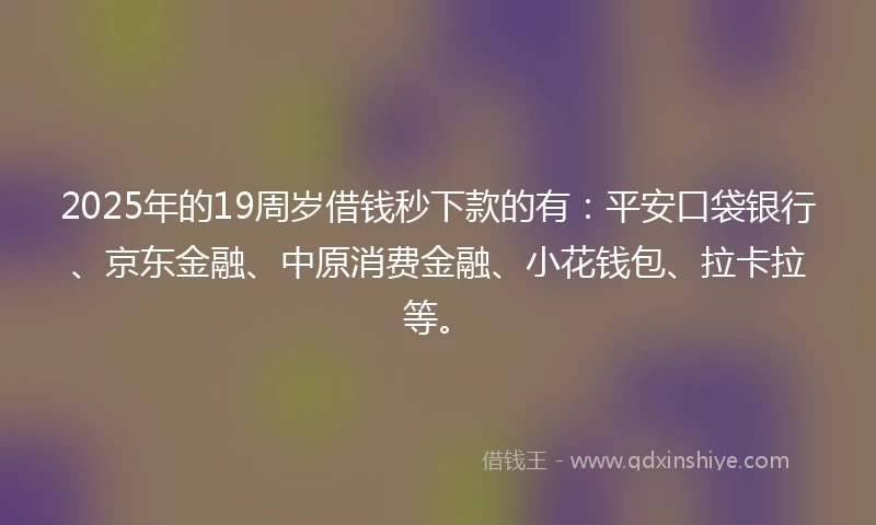 2025年的19周岁借钱秒下款的有：平安口袋银行、京东金融、中原消费金融、小花钱包、拉卡拉等。