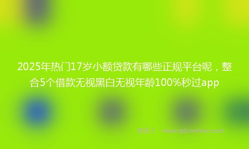 2025年热门17岁小额贷款有哪些正规平台呢，整合5个借款无视黑白无视年龄100%秒过app
