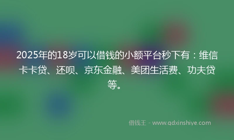 2025年的18岁可以借钱的小额平台秒下有：维信卡卡贷、还呗、京东金融、美团生活费、功夫贷等。