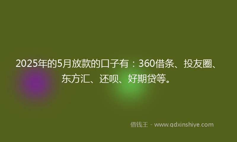 2025年的5月放款的口子有：360借条、投友圈、东方汇、还呗、好期贷等。