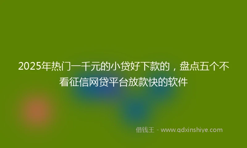 2025年热门一千元的小贷好下款的,盘点五个不看征信网贷平台放款快的软件