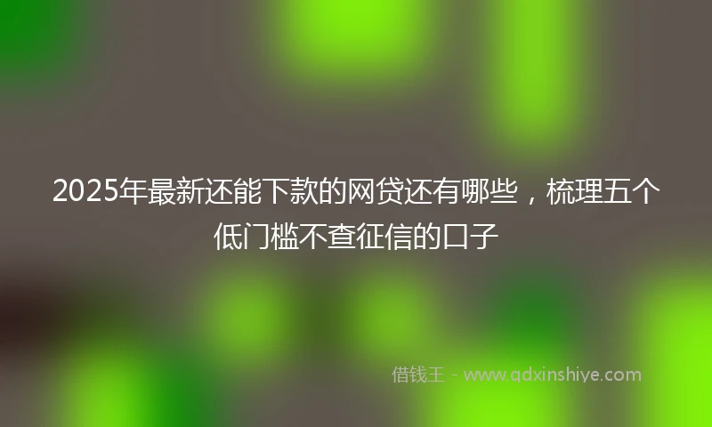 2025年最新还能下款的网贷还有哪些，梳理五个低门槛不查征信的口子