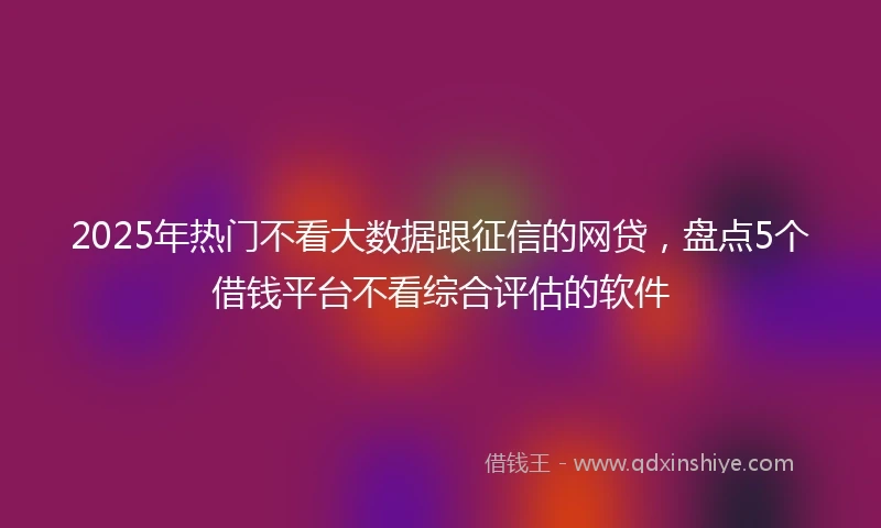 2025年热门不看大数据跟征信的网贷，盘点5个借钱平台不看综合评估的软件