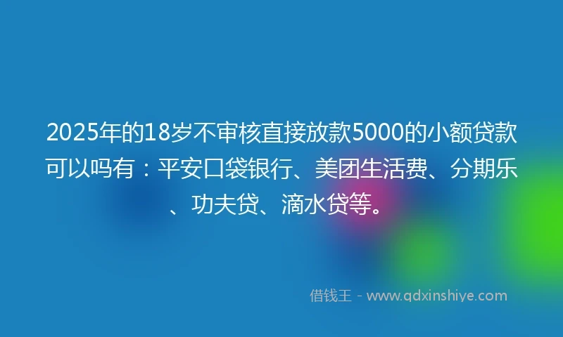 2025年的18岁不审核直接放款5000的小额贷款可以吗有：平安口袋银行、美团生活费、分期乐、功夫贷、滴水贷等。