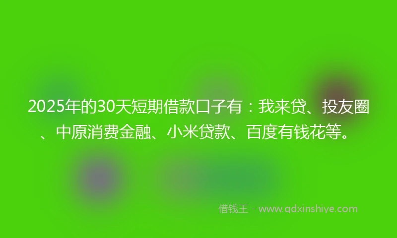 2025年的30天短期借款口子有：我来贷、投友圈、中原消费金融、小米贷款、百度有钱花等。
