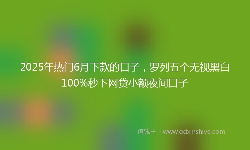 2025年热门6月下款的口子，罗列五个无视黑白100%秒下网贷小额夜间口子
