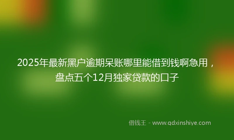 2025年最新黑户逾期呆账哪里能借到钱啊急用，盘点五个12月独家贷款的口子