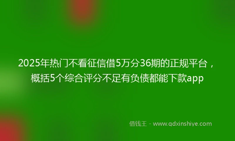 2025年热门不看征信借5万分36期的正规平台,概括5个综合评分不足有负债都能下款app