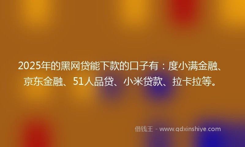 2025年的黑网贷能下款的口子有：度小满金融、京东金融、51人品贷、小米贷款、拉卡拉等。