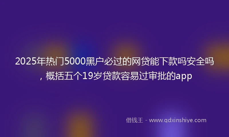 2025年热门5000黑户必过的网贷能下款吗安全吗,概括五个19岁贷款容易过审批的app