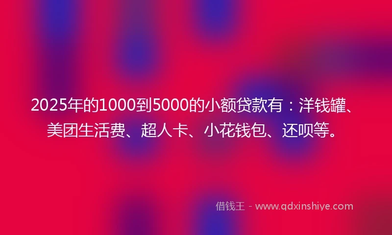 2025年的1000到5000的小额贷款有：洋钱罐、美团生活费、超人卡、小花钱包、还呗等。