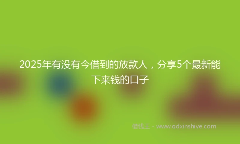 2025年有没有今借到的放款人，分享5个最新能下来钱的口子