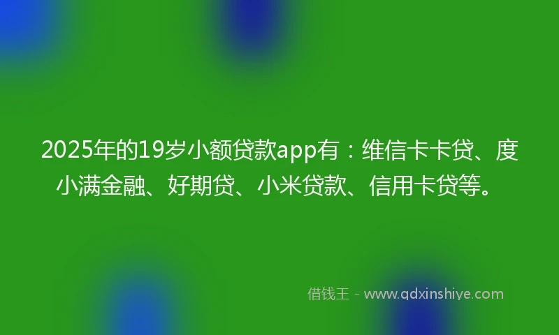 2025年的19岁小额贷款app有：维信卡卡贷、度小满金融、好期贷、小米贷款、信用卡贷等。