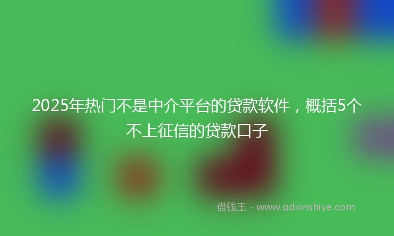 2025年热门不是中介平台的贷款软件，概括5个不上征信的贷款口子
