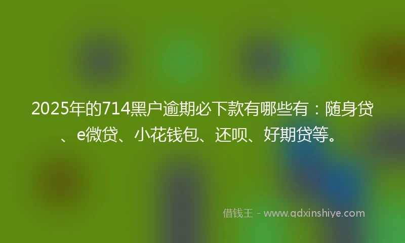 2025年的714黑户逾期必下款有哪些有：随身贷、e微贷、小花钱包、还呗、好期贷等。
